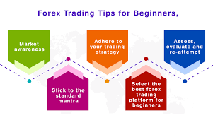 Guide in the Forex Market